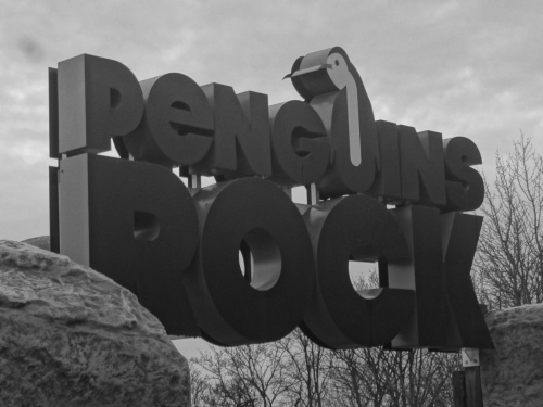 Penguins Rock Sign (B&W)
